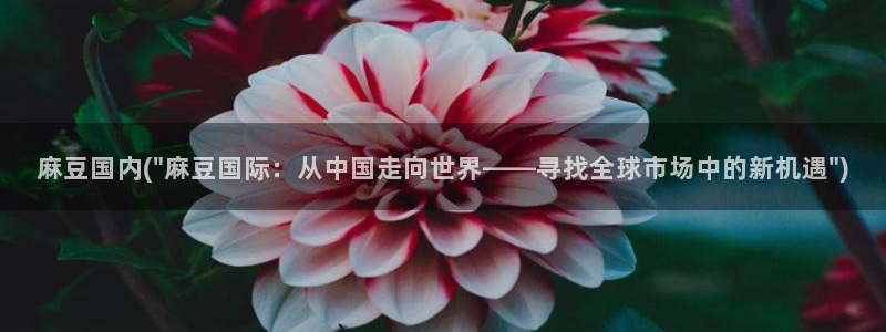 在线麻豆：麻豆国内(\