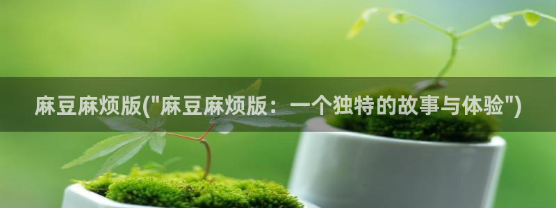 麻豆 专区：麻豆麻烦版(\