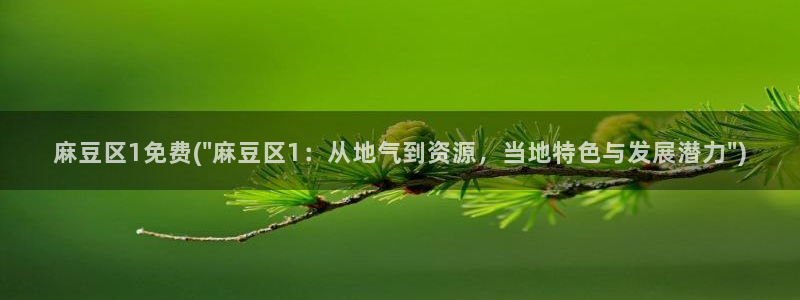 麻豆精品：麻豆区1免费(\