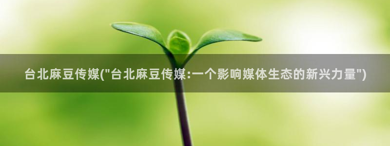 麻豆专区一区：台北麻豆传媒(\
