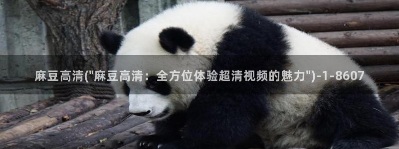 麻豆精品：麻豆高清(\