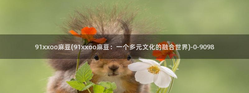 麻豆av专区：91xxoo麻豆(91xxoo麻豆：一个多元文化的融合世界)