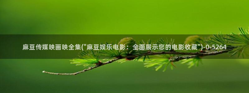 91麻豆国产专区