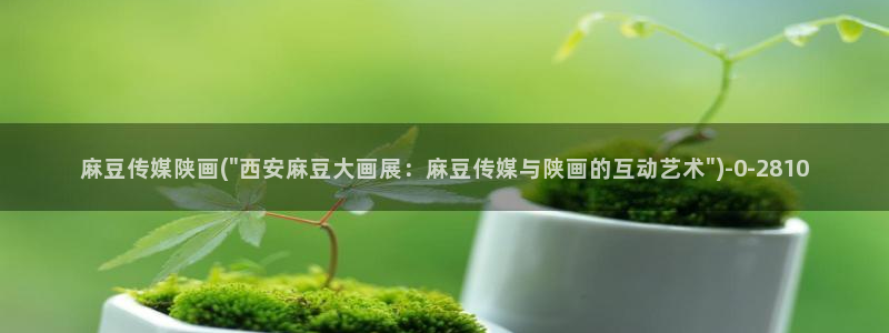 麻豆精品免费：麻豆传媒陕画(\