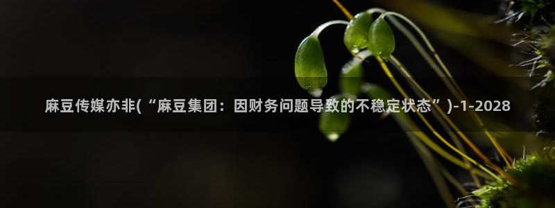 麻豆精品免费：麻豆传媒亦非(“麻豆集团：因财务问题导致的不稳定状态”)