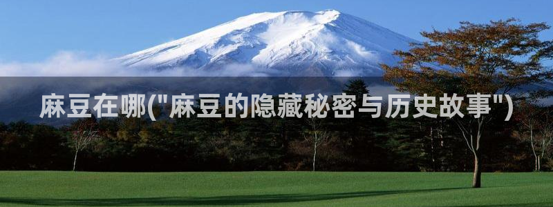 麻豆专区一：麻豆在哪(\