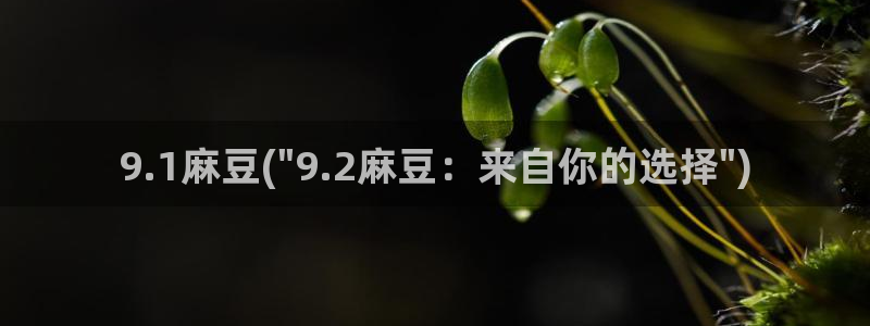 麻豆最新：9.1麻豆(\